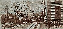 Hill Section - Wyalusing